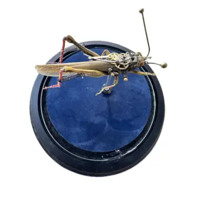 Steampunk Bee, Mike Libby taxidermy