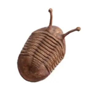 Trilobites