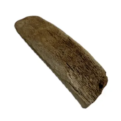 Fossil Walrus Inuit tool, Harpoon