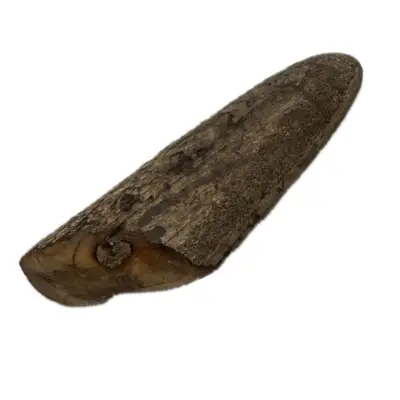 Fossil Walrus Inuit tool, Harpoon