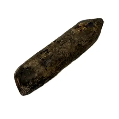 Fossil Walrus Inuit tool, Harpoon