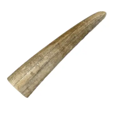 Fossil Walrus Inuit tool, Long