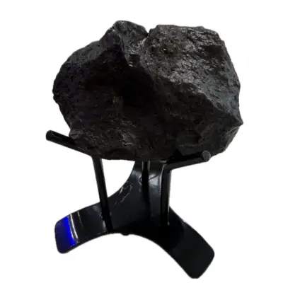 Spinosaurus Claw, composite bone