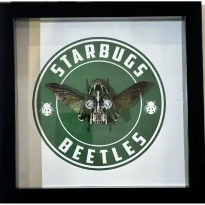 Steampunk Beetle, Budweisew