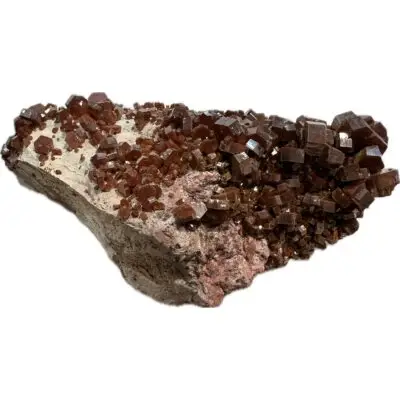 Megalodon Tooth, partial, 3.80 inch