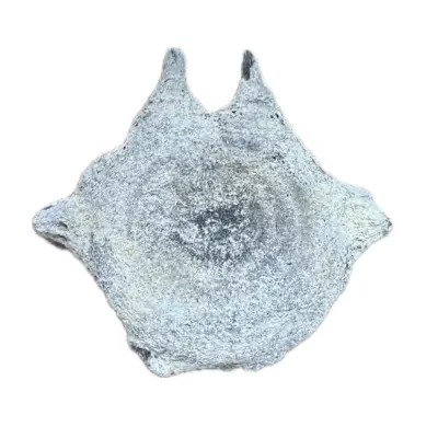 Fossil Walrus Inuit tool, Harpoon