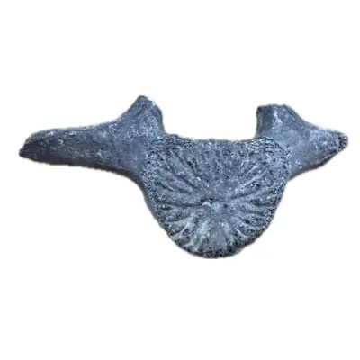 Fossil Whale Vertebrae – Florida