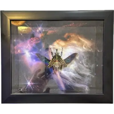 Steampunk Beetle, Notorious Bug