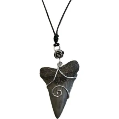 Megalodon Pendant, black wire