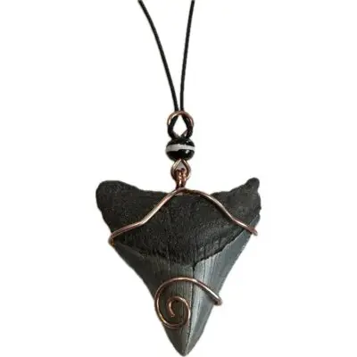 Megalodon Pendant, black wire