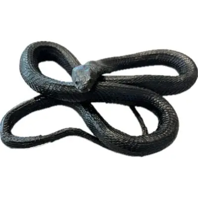 Cobra Taxidermy, Vintage, hand stitched