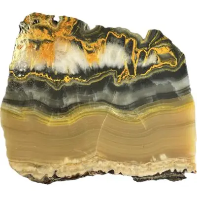 Bumblebee Jasper Slice, Vivid Orange