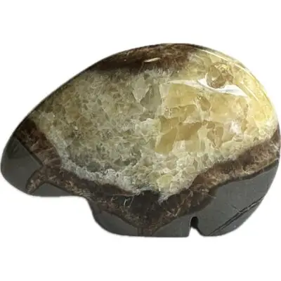 Septarian Fetish animal, Bear, Utah