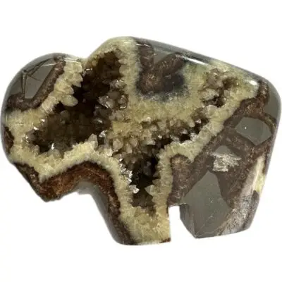 Septarian Bear, AAA grade collector