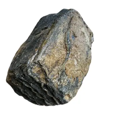 Woolly Mammoth Tooth, 3/4 complete
