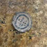 Obverse side of a bronze roman coin showing roman script.
