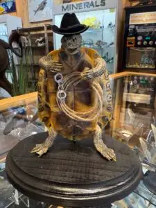Turtle Cowboy Taxidermy Gaffe