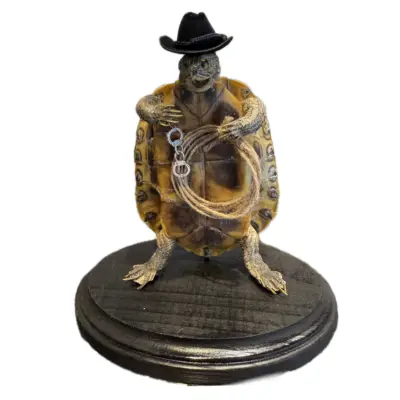 Alligator, “Grim Reaper” professional taxidermy
