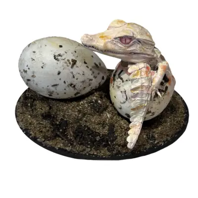 Albino Dwarf Caiman, Extremely rare