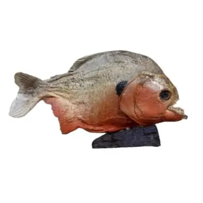 Huge Piranha, South America, Vintage