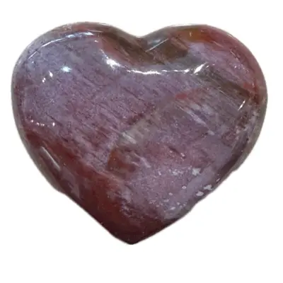 Petrified Wood Heart, Madagascar, 2 1/2″