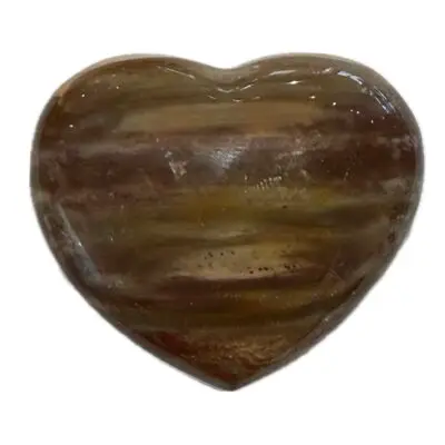 Petrified Wood 2 1/2″ Heart, Madagascar