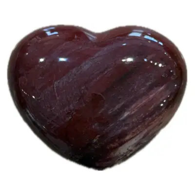 Petrified Wood 2 1/2″ Heart, Madagascar