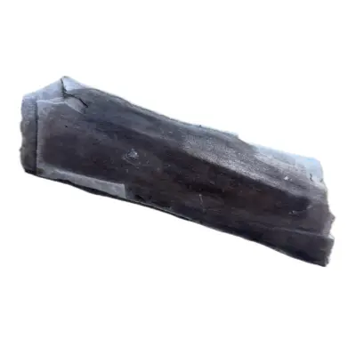 Mammoth Astragalus bone, Florida