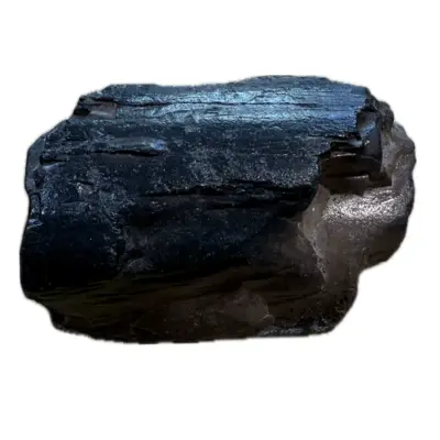 Mammoth Astragalus bone, Florida