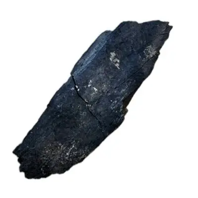 Mammoth Astragalus bone, Florida