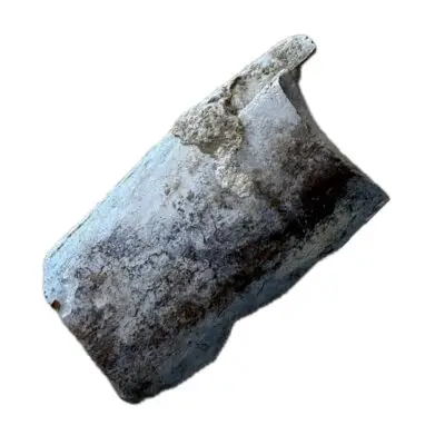 Mammoth Astragalus bone, Florida