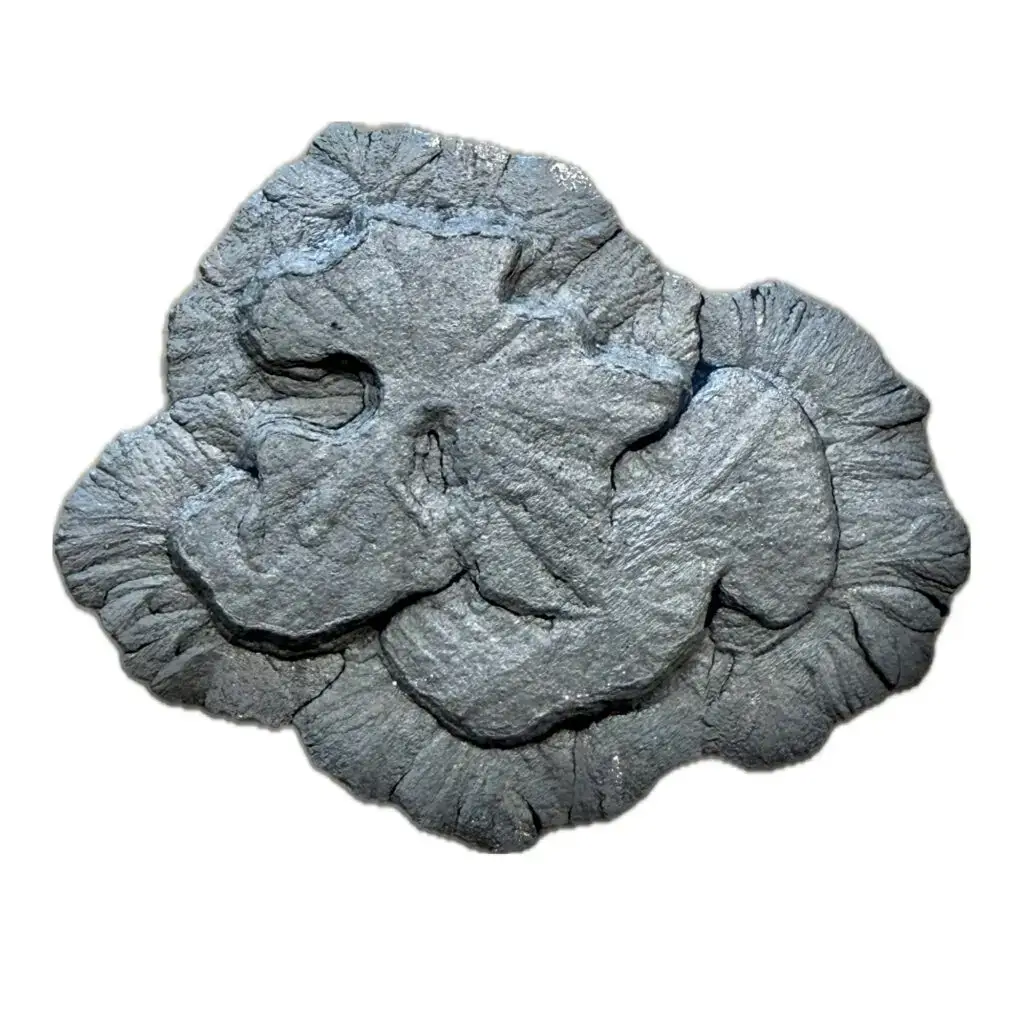 Pyrite Sun from Sparta, Illinois #5