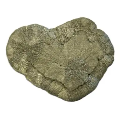 Pyrite Sun from Sparta, Illinois #6