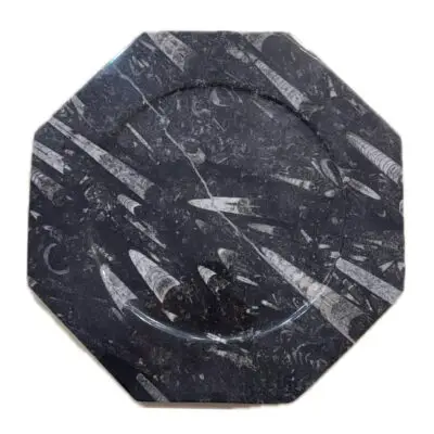 Orthoceras, 3 section dish, 12 inch