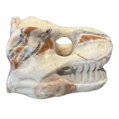 Garnet carved T-rex, 7″x 5″