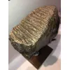 Woolly Mammoth Tooth, custom stand Prehistoric Online