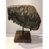 Woolly Mammoth Tooth, custom stand Prehistoric Online