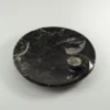 Goniatite Ammonite, Decorative dish 4″ round Prehistoric Online