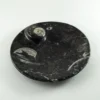 Goniatite Ammonite, Decorative dish 4″ round Prehistoric Online