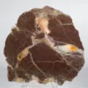 Oregon thunderegg, Opal Prehistoric Online