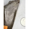 Megalodon Tooth, S. Georgia 4.60 inch Prehistoric Online