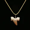 Otodus tooth Pendant, approx 45-50 MYO Prehistoric Online