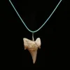 Otodus tooth Pendant, approx 45-50 MYO Prehistoric Online