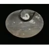 Goniatite Ammonite, Decorative dish 5×3 Prehistoric Online