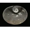 Goniatite Ammonite, Decorative dish 5×3 Prehistoric Online