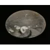 Goniatite Ammonite, Decorative dish 5×3 Prehistoric Online