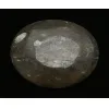 Goniatite Ammonite, Decorative dish 5×3 Prehistoric Online