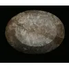 Goniatite Ammonite, Decorative dish 5×3 Prehistoric Online