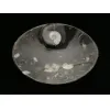 Goniatite Ammonite, Decorative dish 5×3 Prehistoric Online