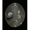 Goniatite Ammonite, Decorative dish 5×3 Prehistoric Online